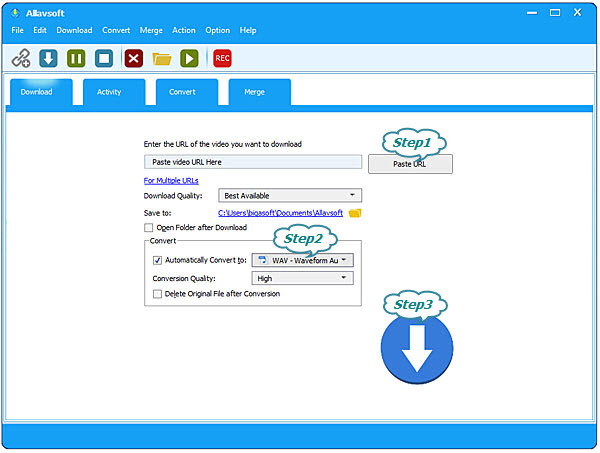 Download and Convert YouTube to WAV