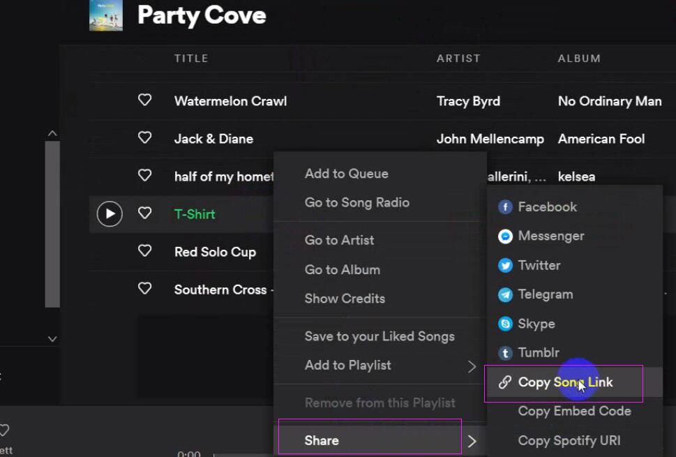 How to Find Spotify Music Link? 