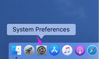 Click System Preferences