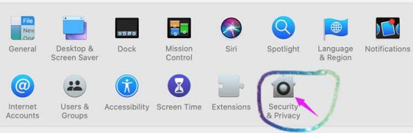 Click the Security Privacy Icon
